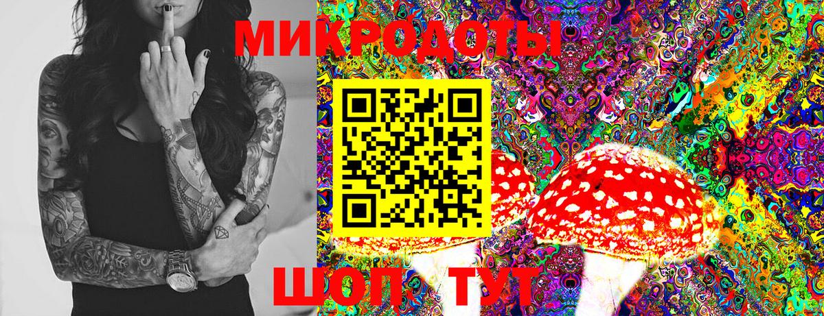 Галлюциногенные грибы мицелий Арзамас