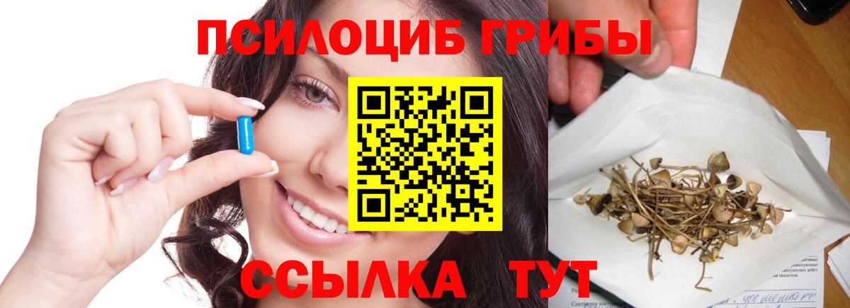 Арзамас  Галлюциногенные грибы Cubensis  Вход с VPN 
